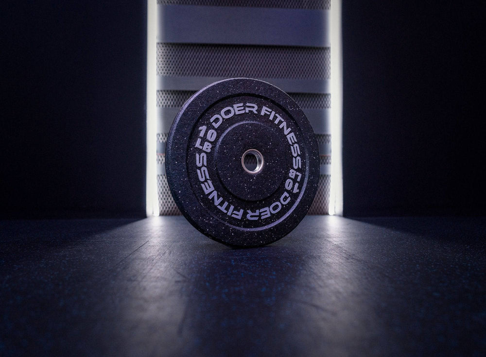 CM Fleck Plates 10 lb (Pair)   - Doer Fitness