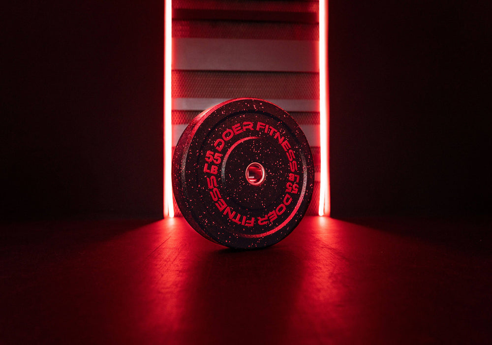 CM Fleck Plates 55 lb (Pair)   - Doer Fitness
