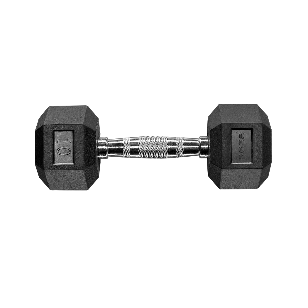 Hex Dumbbells pair 10 lb  Weights - Doer Fitness